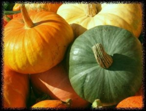 draft_lens2228087module12065639photo_1224037536orange_green_pumpkins2