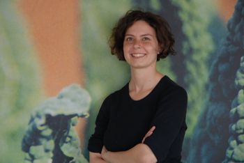 FB Market Chef Photo