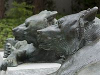 BerkeleyBears