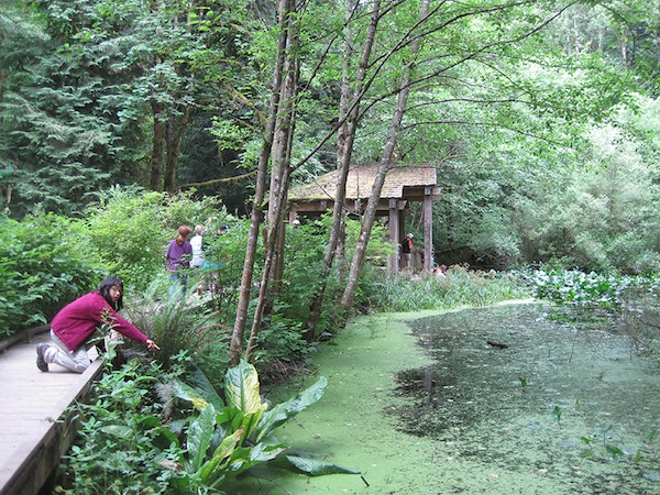 Audubon Sanctuary Pond - Elie Boas