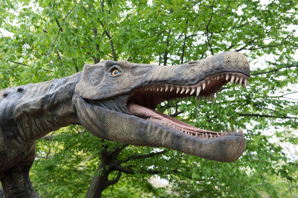 _Julie Larsen Maher 4304 Dinosaur Safari Arrival BZ 05 06 13