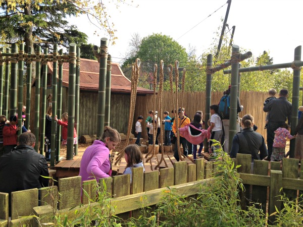 SEATTLE-Zoo-Photos-1