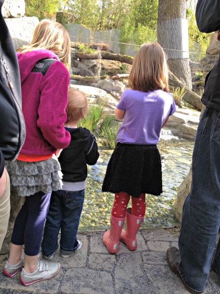 SEATTLE-Zoo-Photos-4