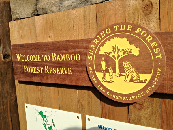 SEATTLE-Zoo-Photos-5