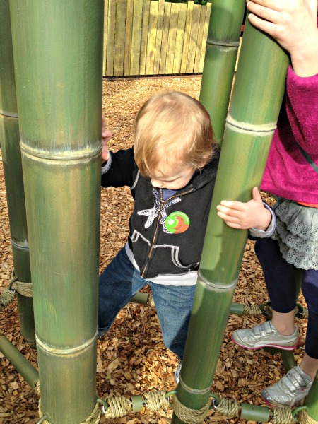 SEATTLE-Zoo-Photos-6