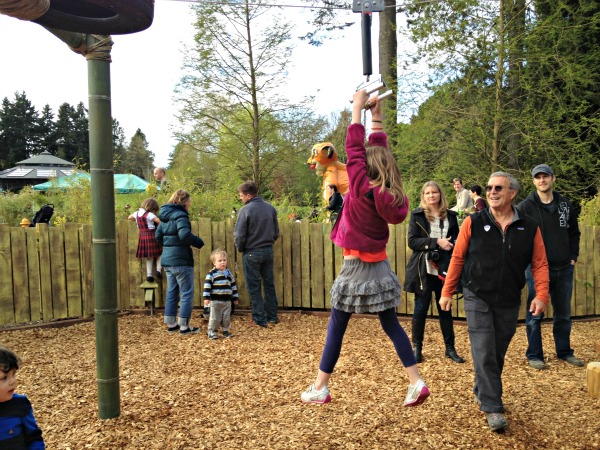 SEATTLE-Zoo-Photos-7