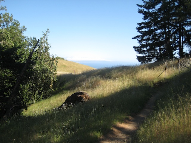 sweeping view mt tam