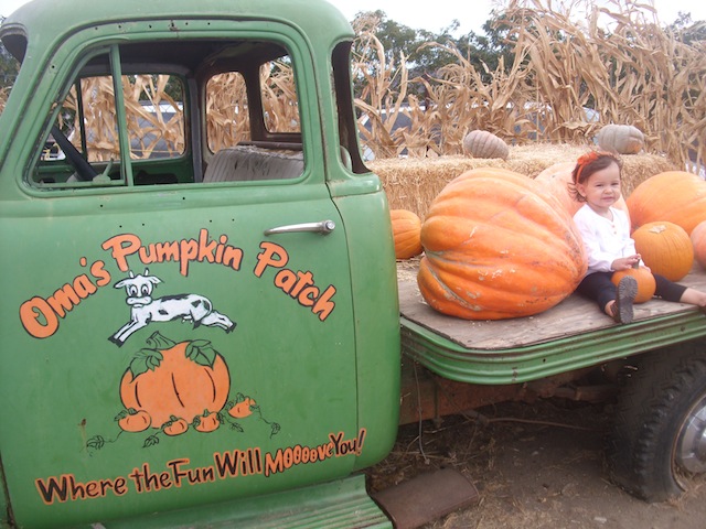 OMA'S PUMPKIN PATCH 9