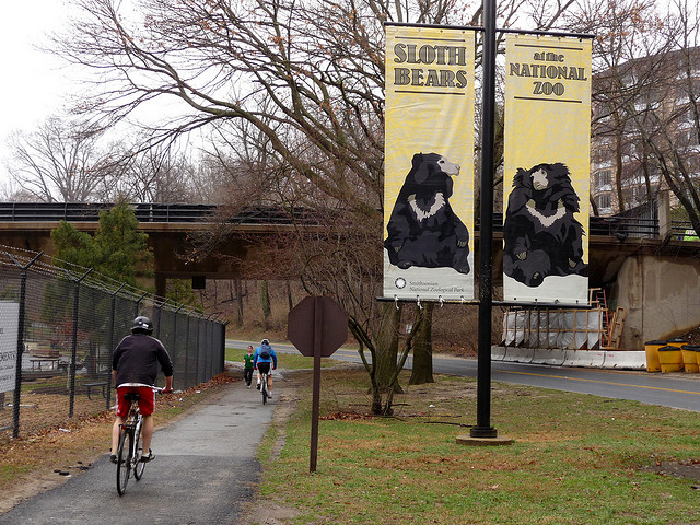 rock-creek-park-trail