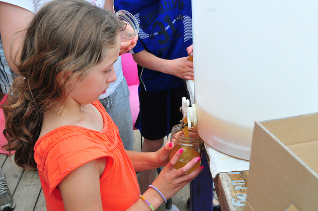 julochka bee harvesting