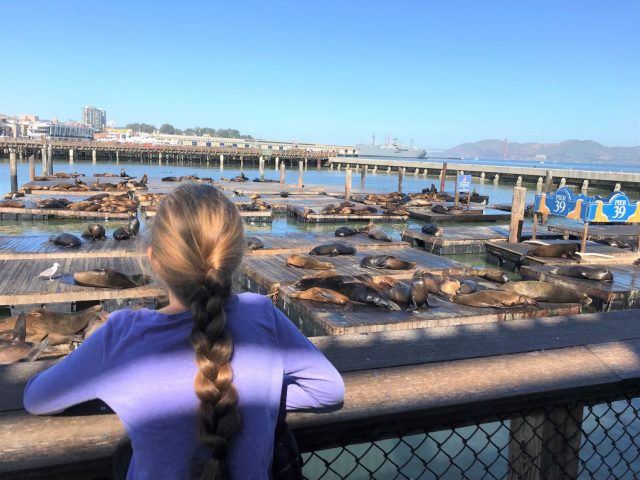 Insider’s Guide to PIER 39