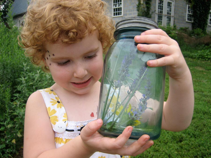 2646559132_e5bc41c500_b