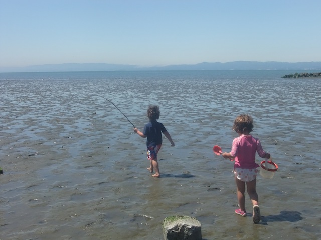 Discover Alameda's Most Treasured Beach - Tinybeans