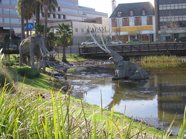 La Brea Tar Pits And Museum Parking