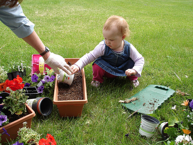 baby gardening