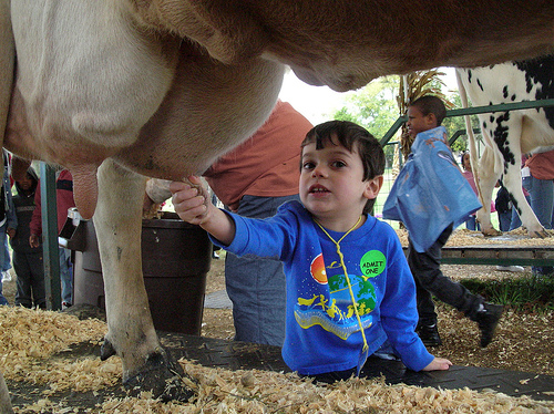Best Animal Farms and Petting Zoos for SF Bay Area Kids