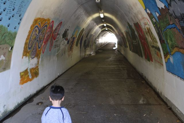 tunnel2