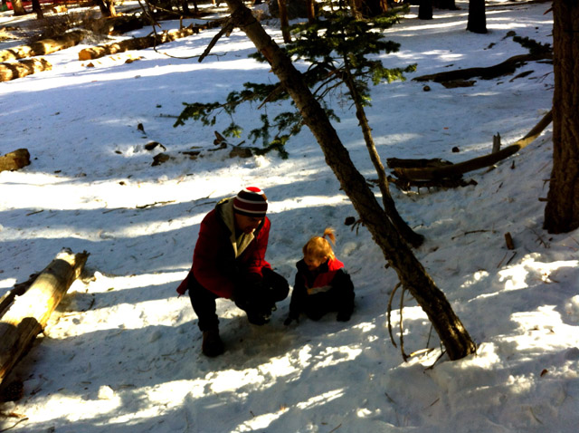 A SoCal Kid’s Snow Day: The Palm Springs Aerial Tramway