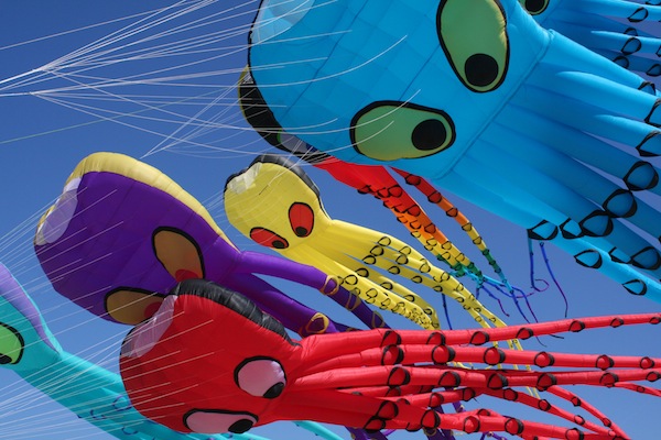 LC Kite Festival 2**