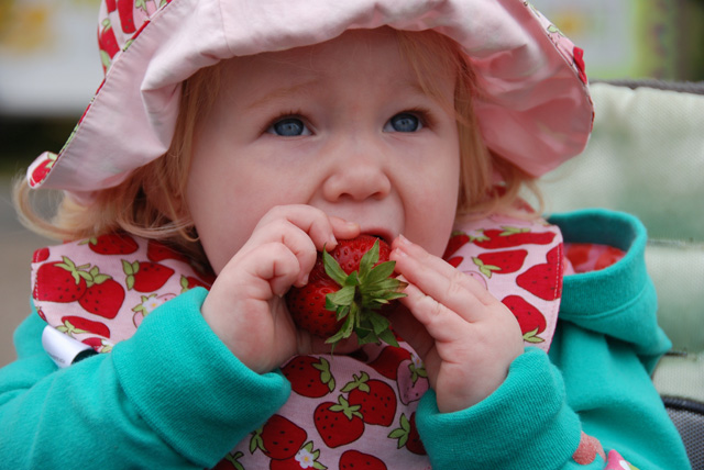 Have a Berry Blast at the California Strawberry Festival