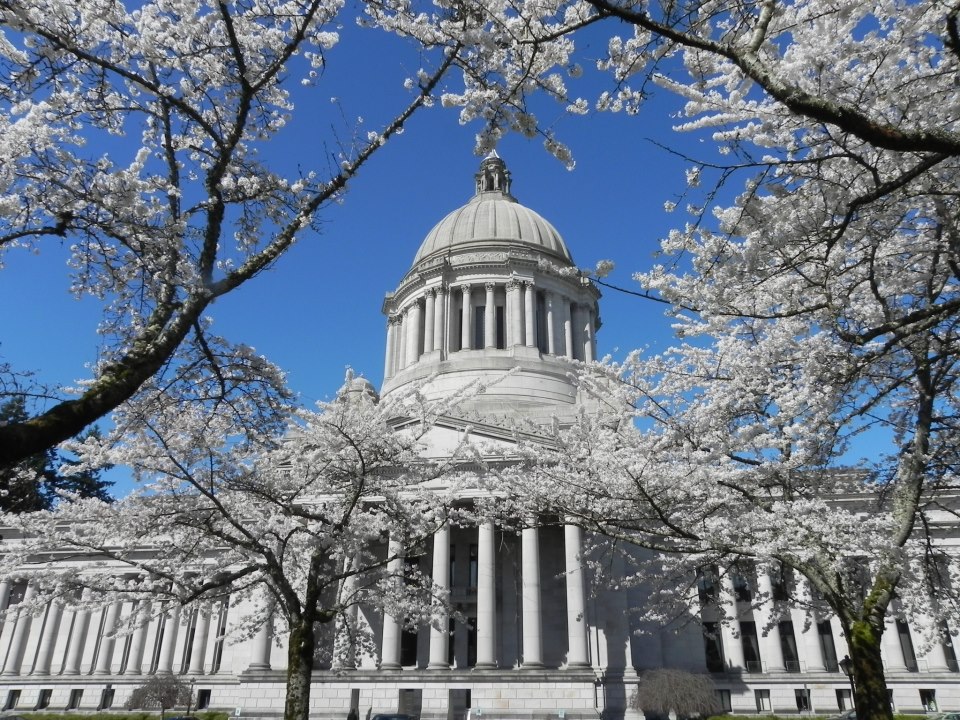 Олимпия вашингтон. Олимпия США. Olympia Washington. Washington State. Olympia Washington background.