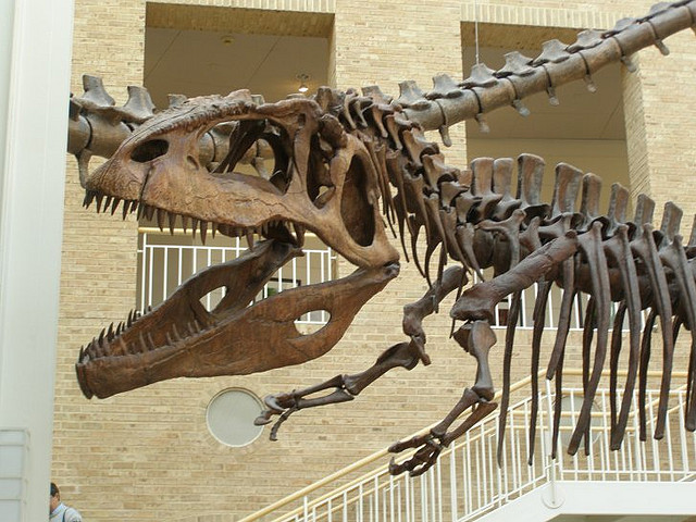 Fernbank-Gigantosaurus
