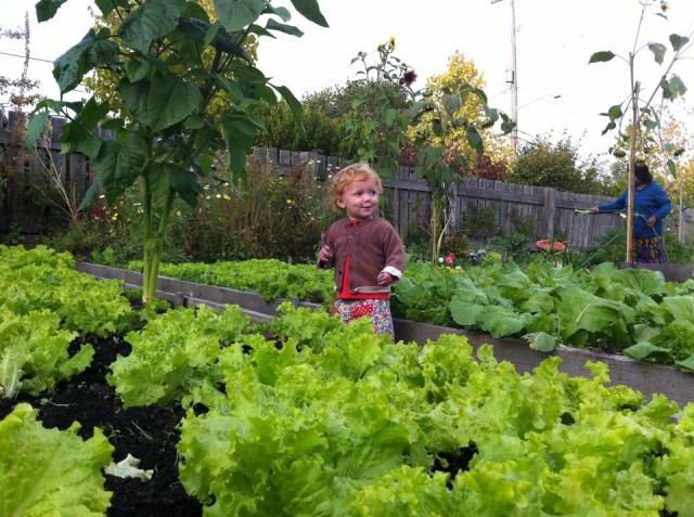 High Point P-Patch little girl