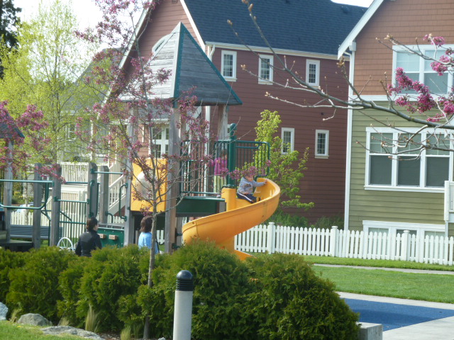 High Point Seattle little park