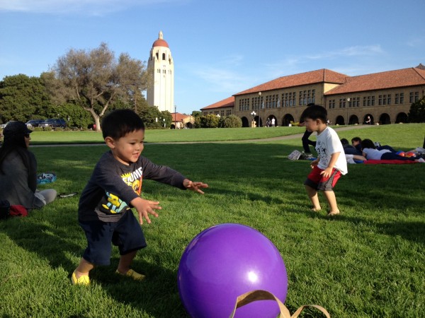 stanford oval lawn