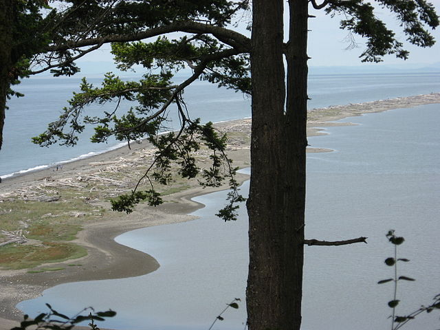 Dungeness_Spit_NWR