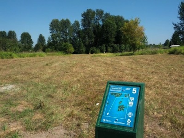 blue lake hole 5 discgolfscene.com