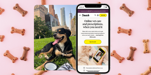 I Used Dutch Pet Telehealth For My Dog’s Ear Infection & I Can’t Stop Telling People About It
