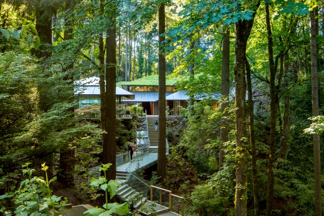 stairs in the trees lead to a cultural village at the Portland Japanese Garden