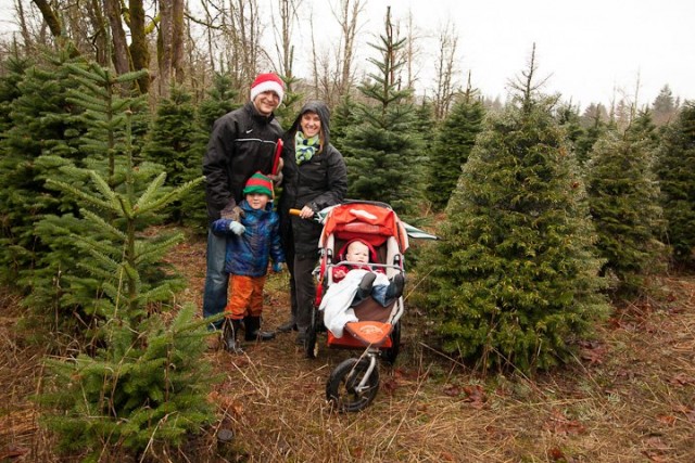 family with stroller tree hunting