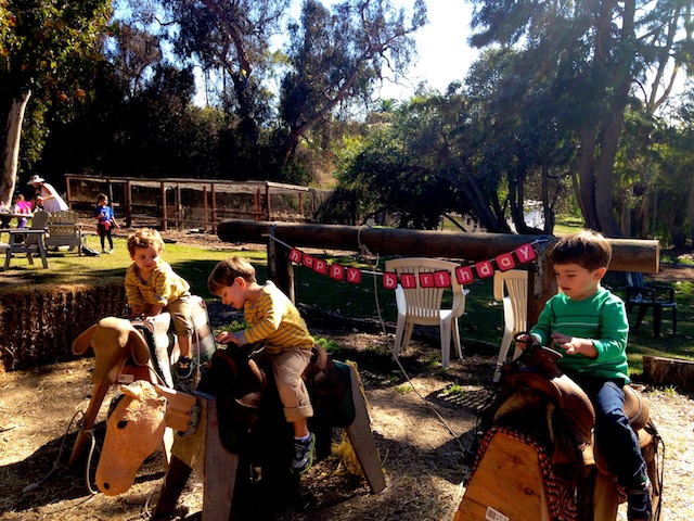 Feather Acres Farm & Nursery: Where Little Cowboys (and Girls) Play