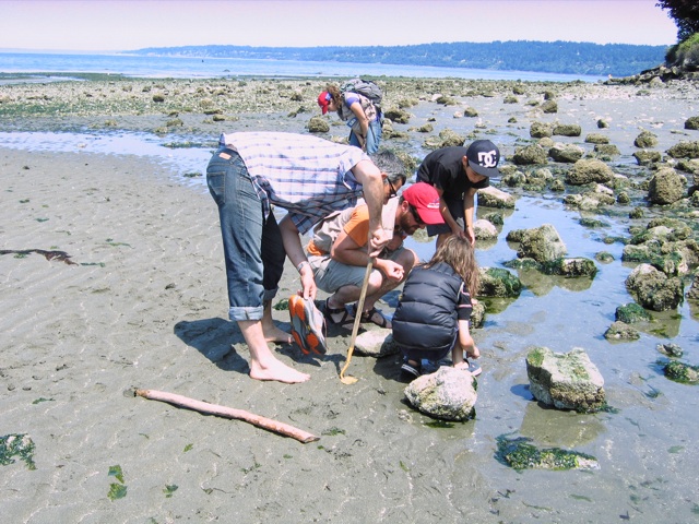 Beach Naturalist Program Seattle Aquarium