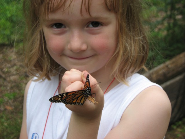 Greenburgh Nature Center girl and butterfly