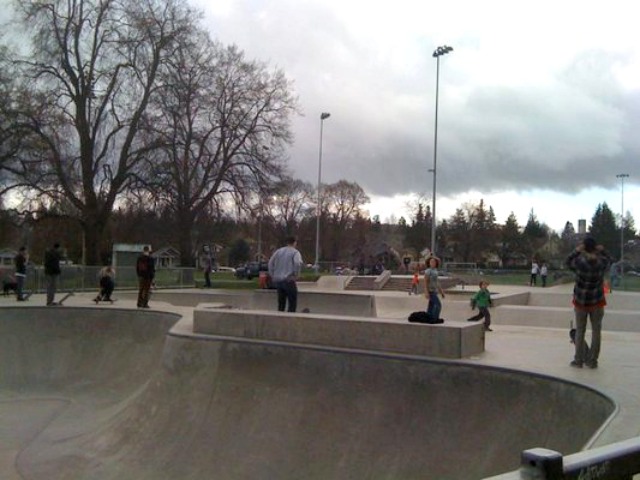 Lower Woodland Skatepark