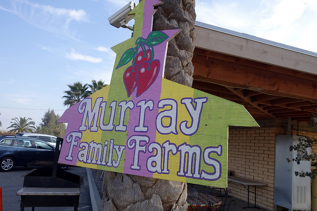 upicknewmurrayfamilyfarms