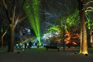 Morton Arboretum Illuminations Lighting Display in Snow