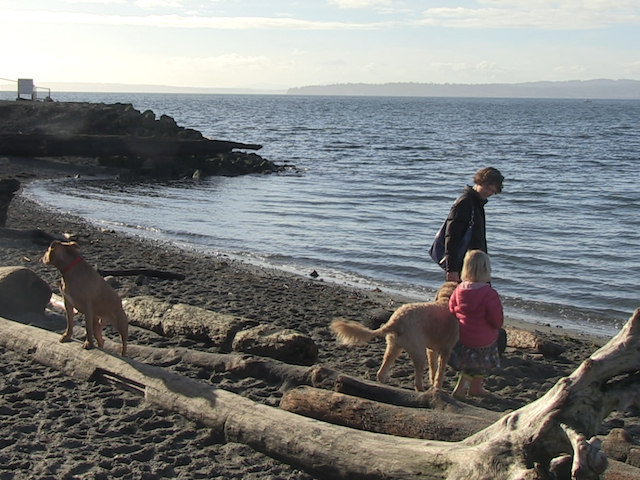 are dogs allowed at edmonds beach