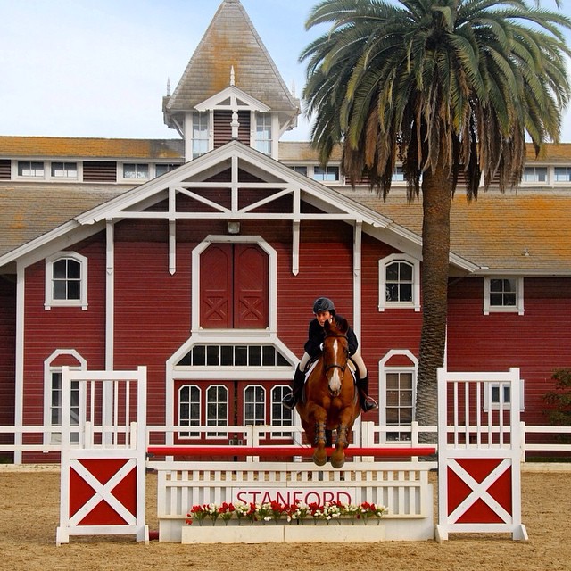 red_barn_stanford_horses