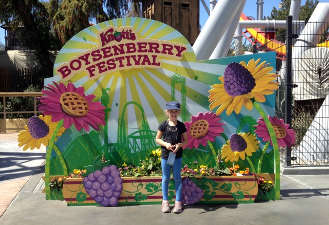 boysenberry festival