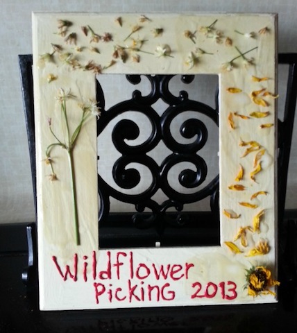 wildflowerframe_kelleygrant_wildflowercrafts_wildflowers_national_redtricycle