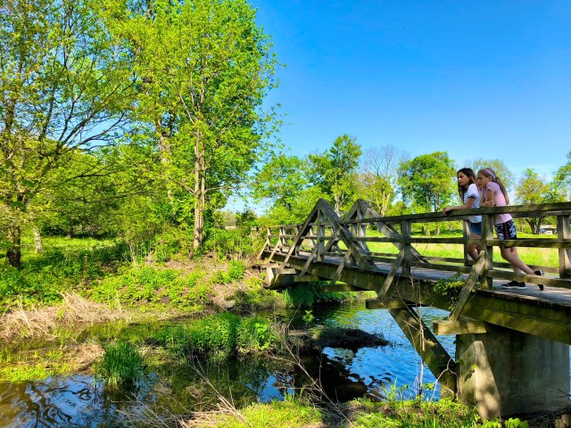 things to do with kids in chicago two girls on bridge at morton arboretum