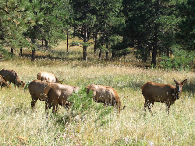 lookout.mountain.nature.center