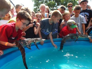 Gator Encounters at World Pet Association’s Aquatic Experience – Chicago