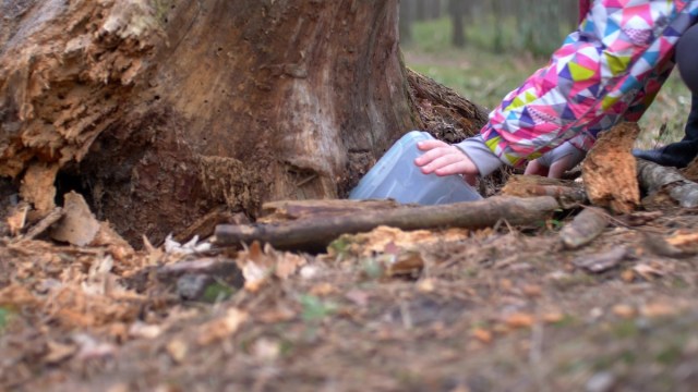 geocaching in the forest