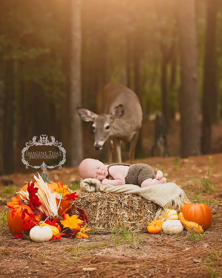 baby/ deer photobomb