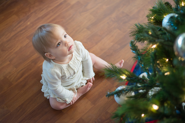 baby christmas tree cc Donnie Ray Jones via Flickr